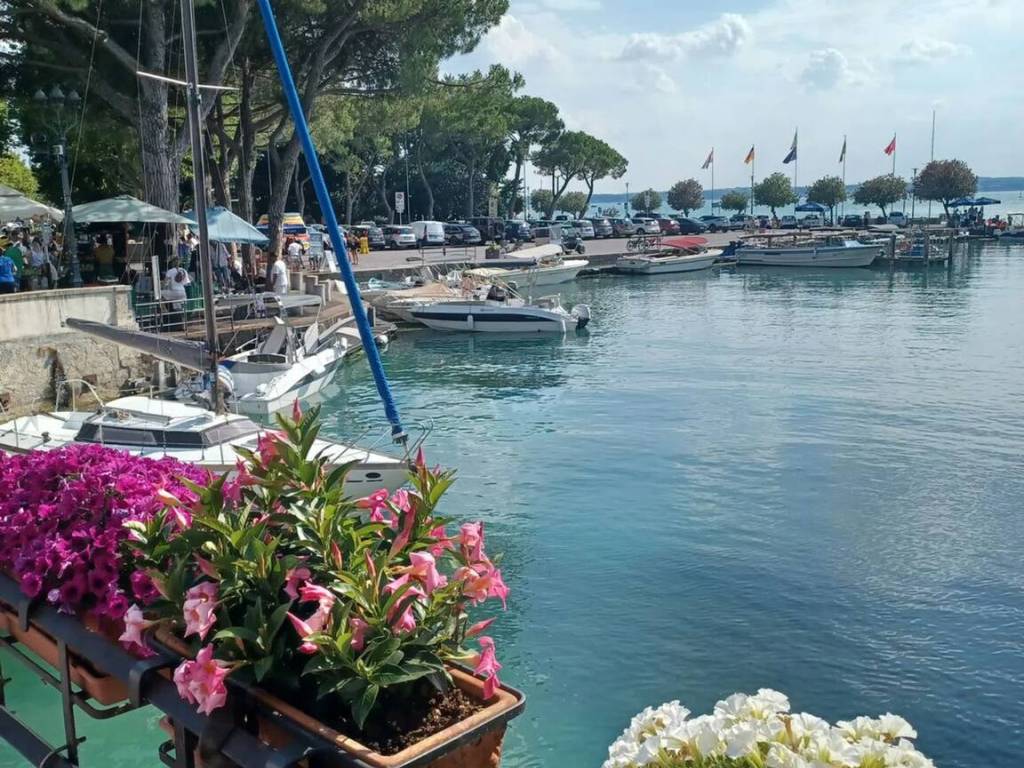 immagine annuncio 1 di 2