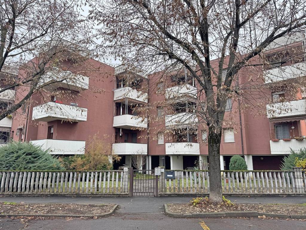 immagine annuncio 3 di 5