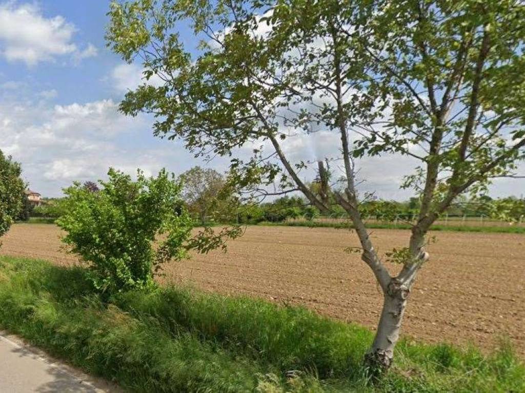 immagine annuncio 2 di 4