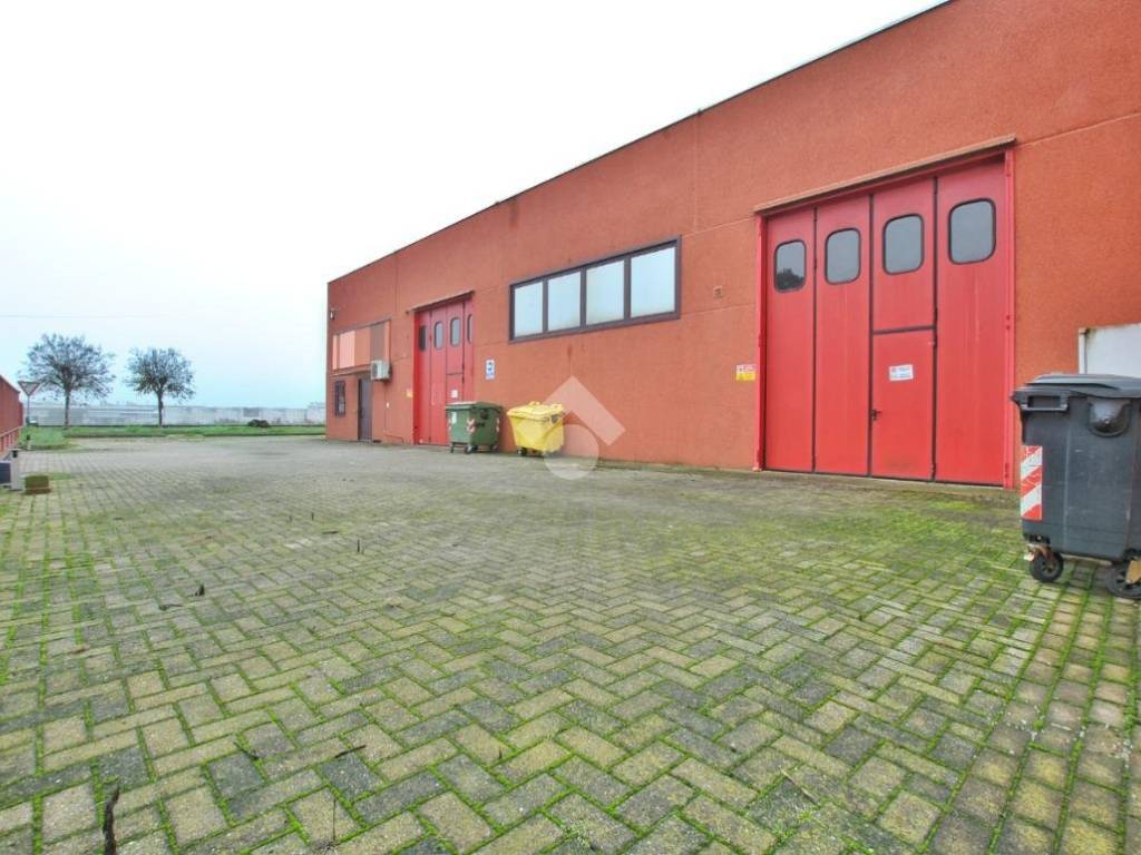 immagine annuncio 3 di 5