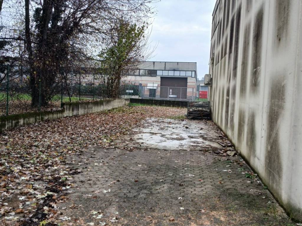 immagine annuncio 2 di 5