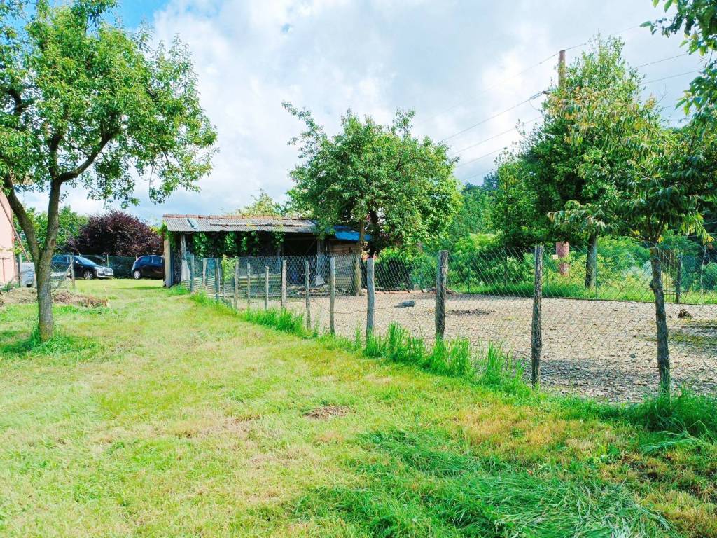 immagine annuncio 1 di 5