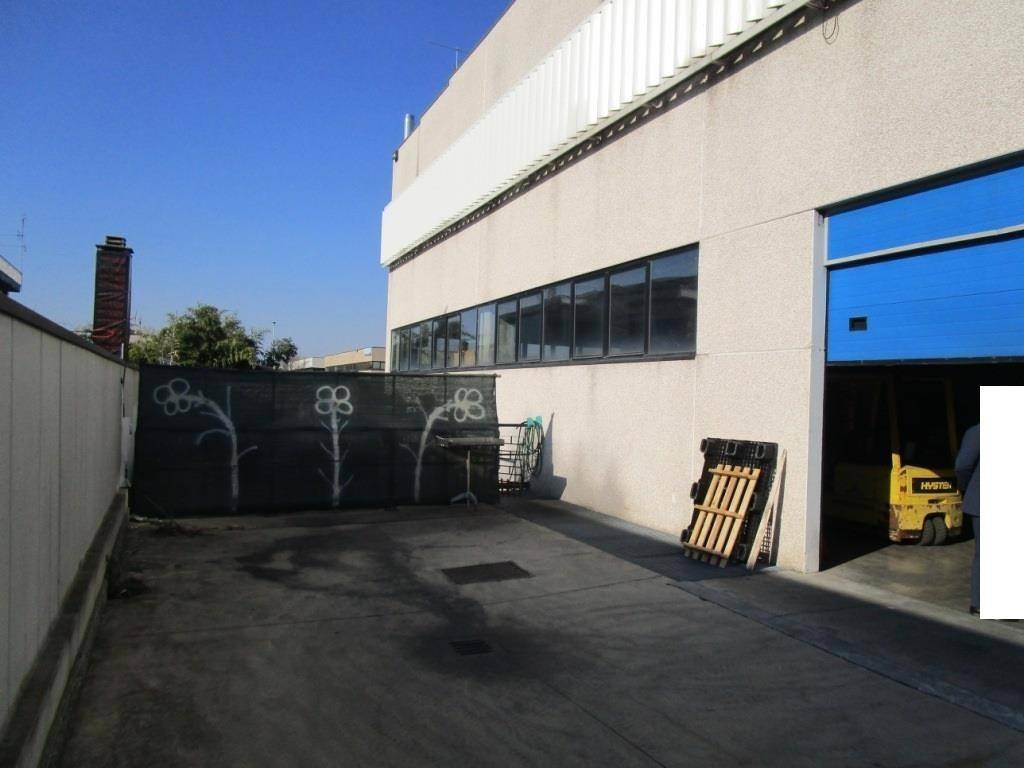 immagine annuncio 2 di 5