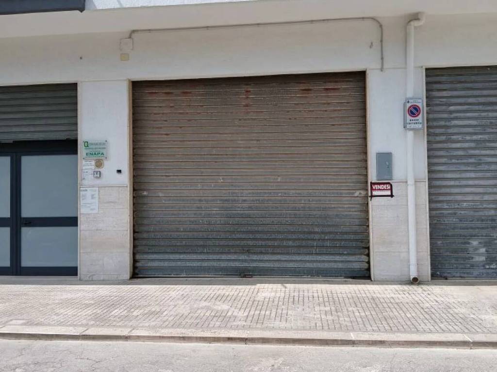 immagine annuncio 1 di 2