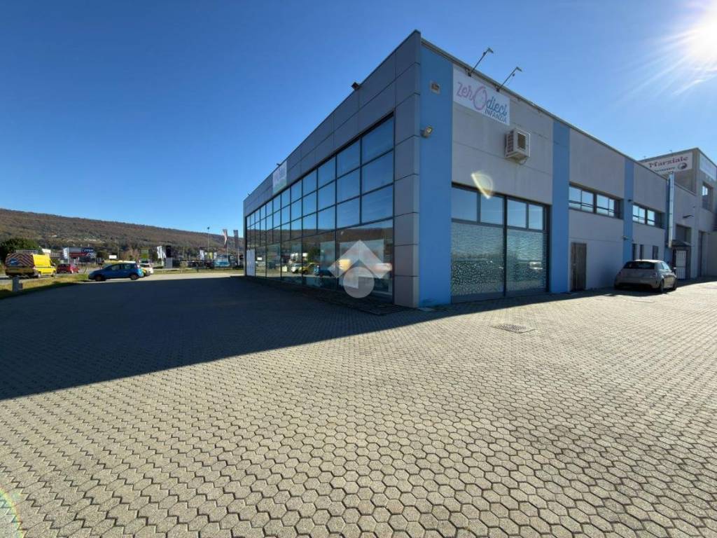 immagine annuncio 3 di 5