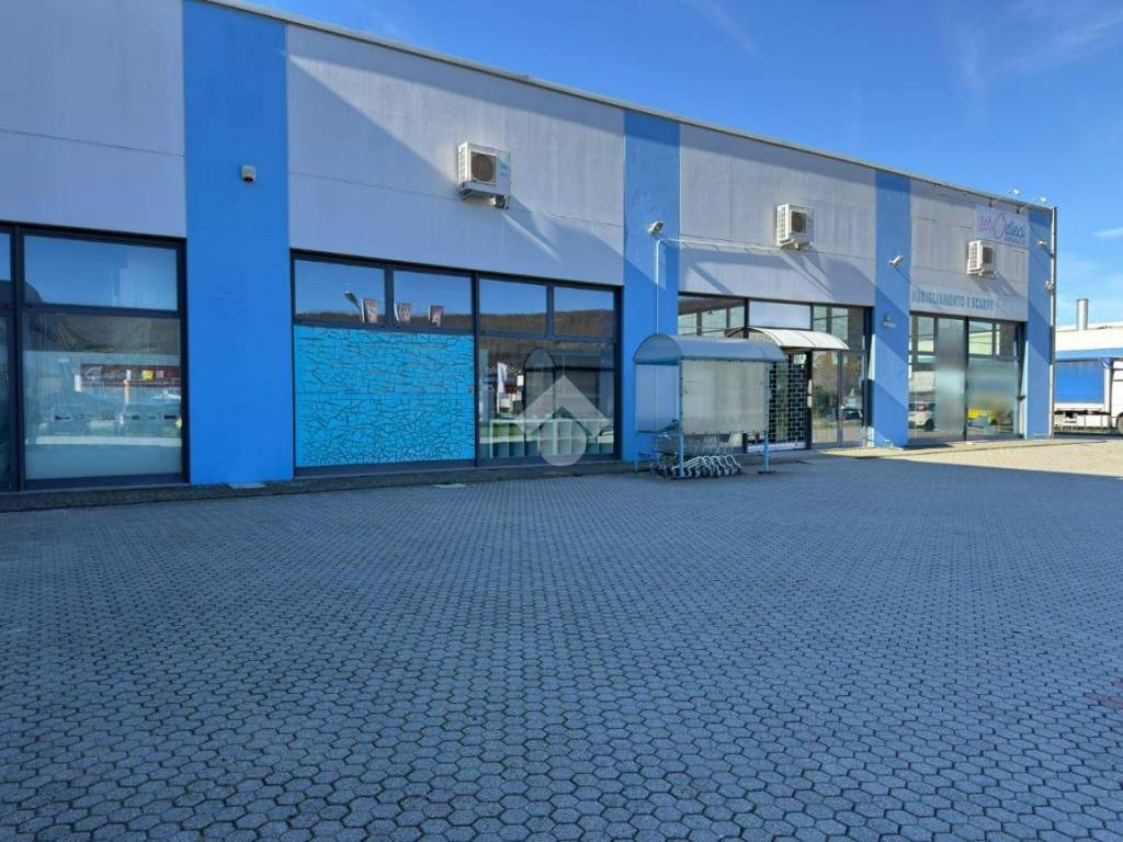 immagine annuncio 4 di 5