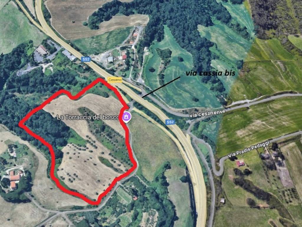 immagine annuncio 2 di 5