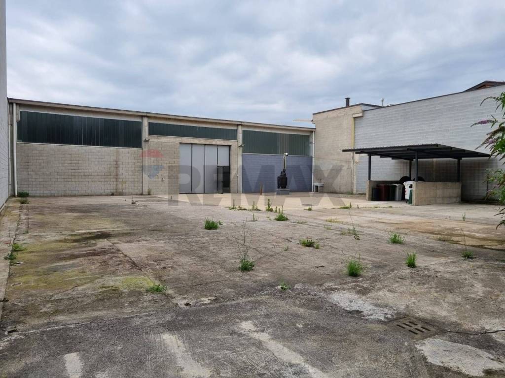 immagine annuncio 2 di 5