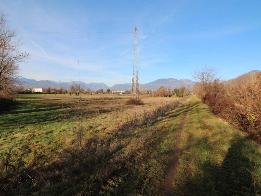 immagine annuncio 1 di 4