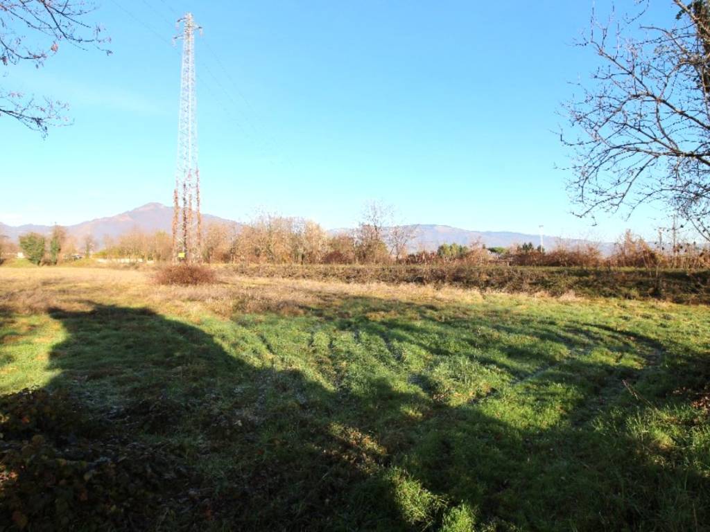 immagine annuncio 2 di 4