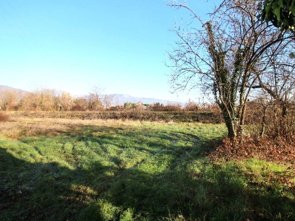 immagine annuncio 3 di 4