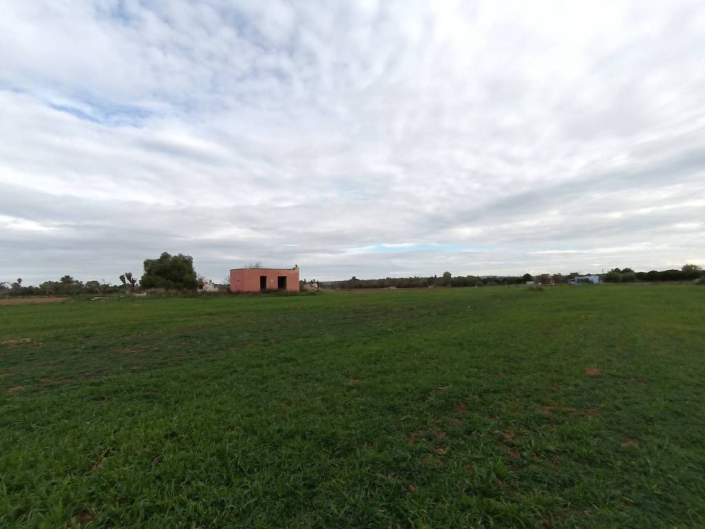 immagine annuncio 1 di 4