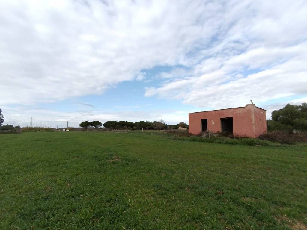 immagine annuncio 2 di 4