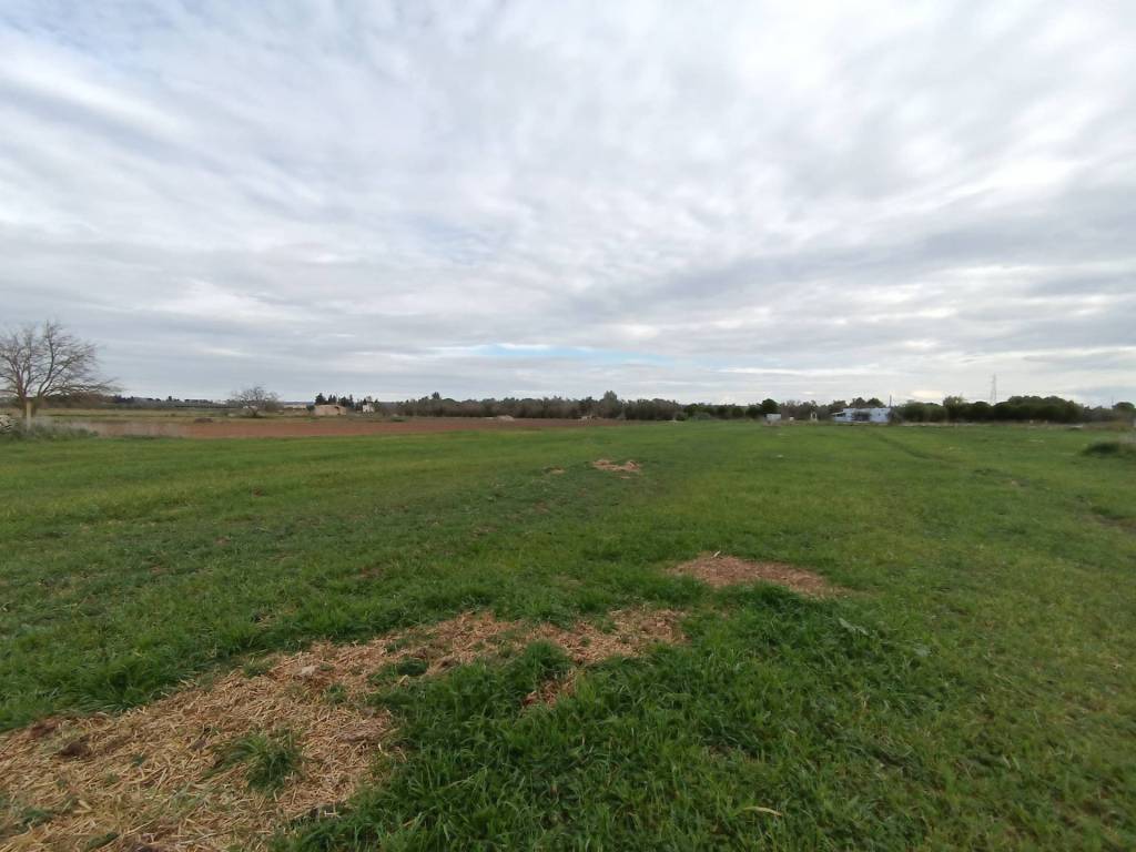 immagine annuncio 3 di 4