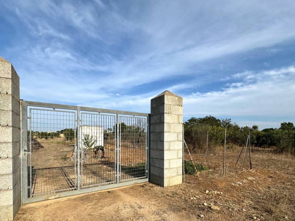 immagine annuncio 1 di 4