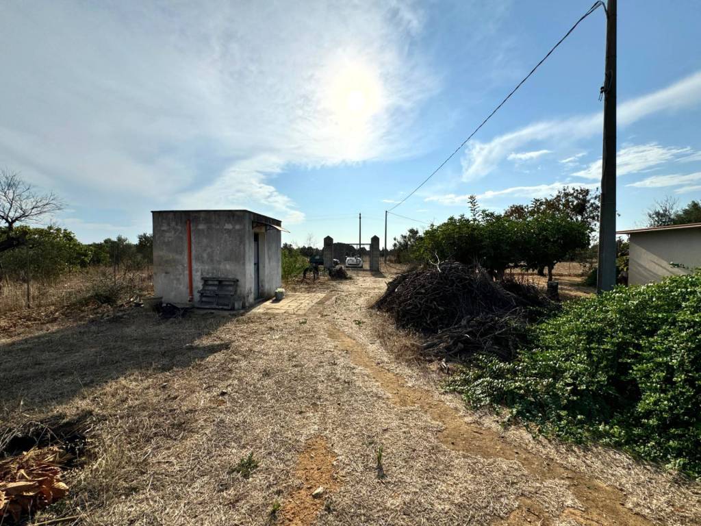 immagine annuncio 2 di 4