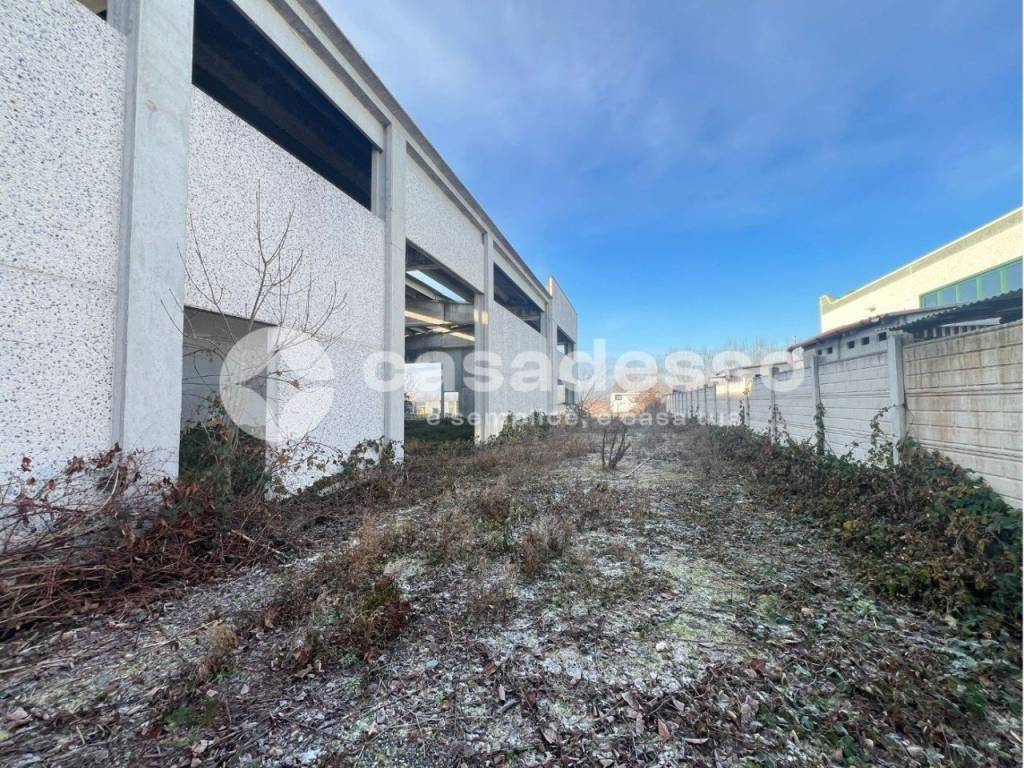 immagine annuncio 3 di 5