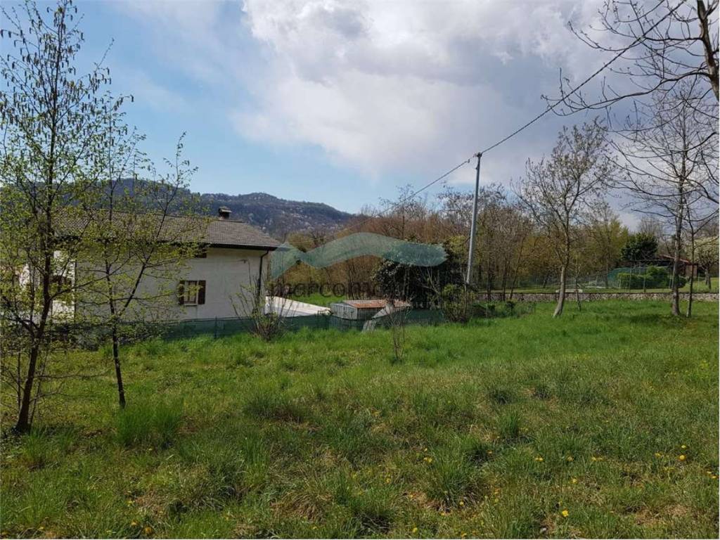 immagine annuncio 1 di 4