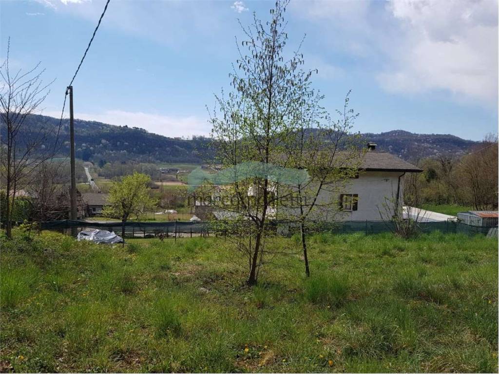 immagine annuncio 2 di 4