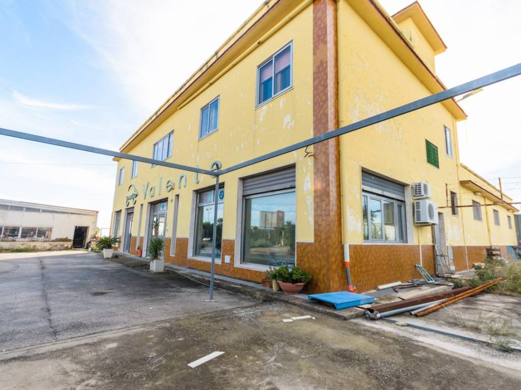 immagine annuncio 2 di 5