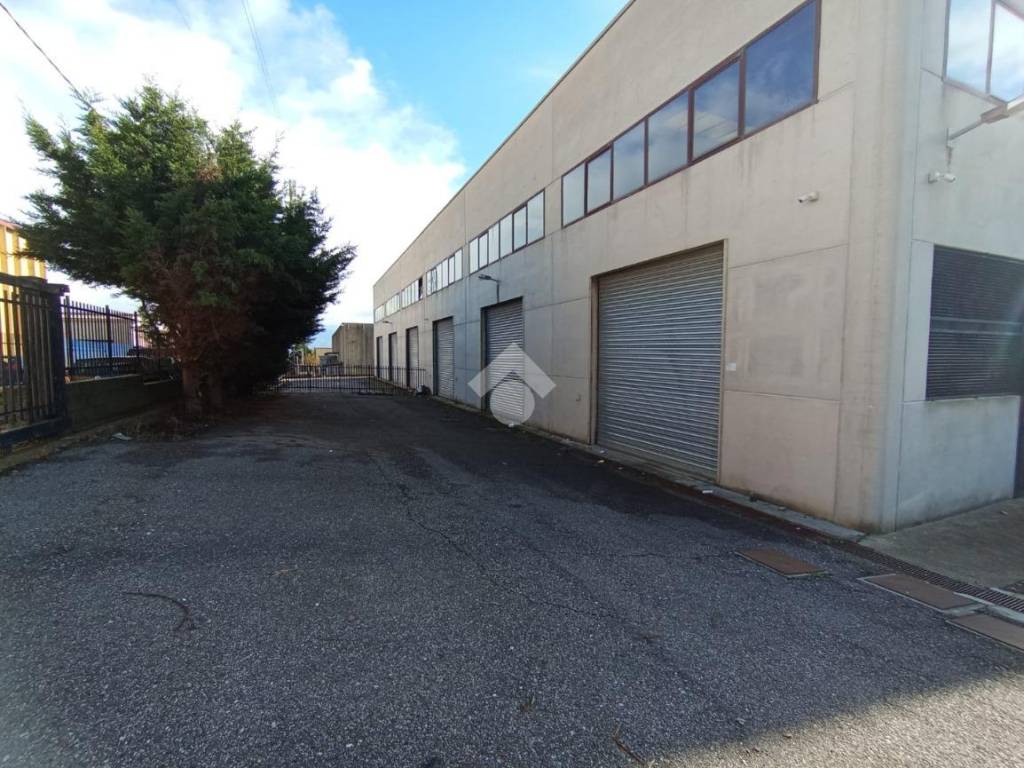 immagine annuncio 3 di 5