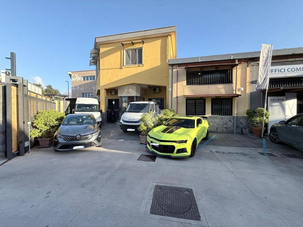 immagine annuncio 2 di 5