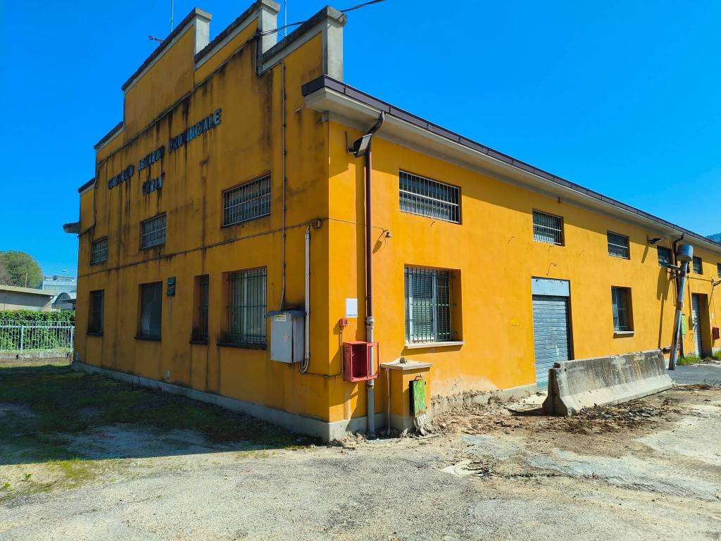 immagine annuncio 2 di 5