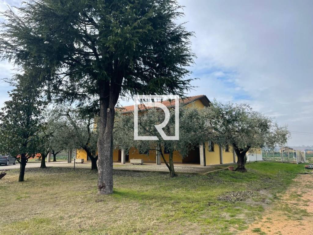 immagine annuncio 3 di 5