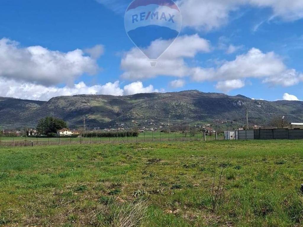 immagine annuncio 2 di 4