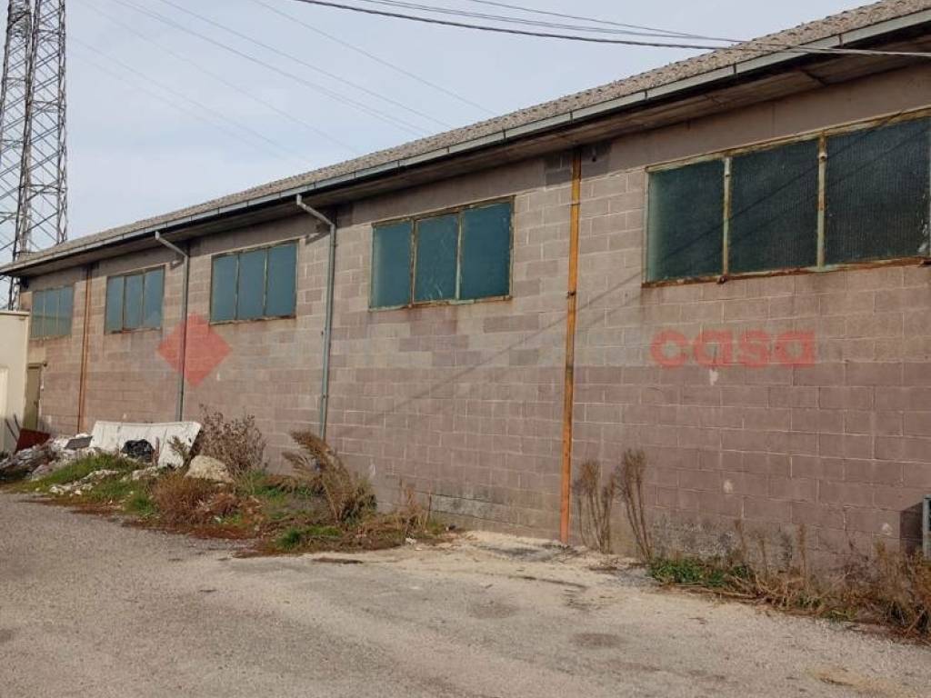 immagine annuncio 3 di 4