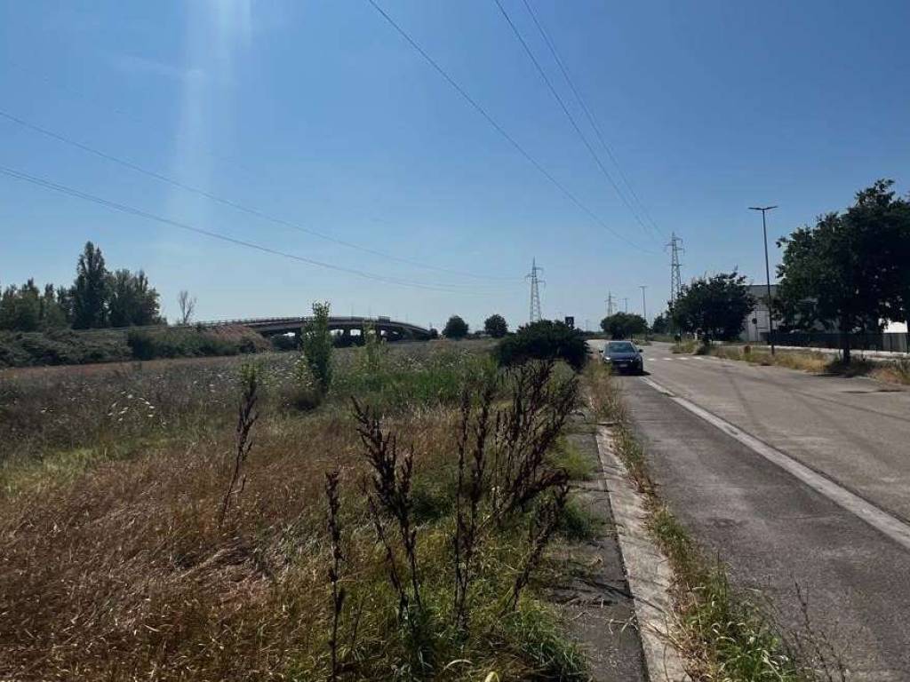 immagine annuncio 2 di 4