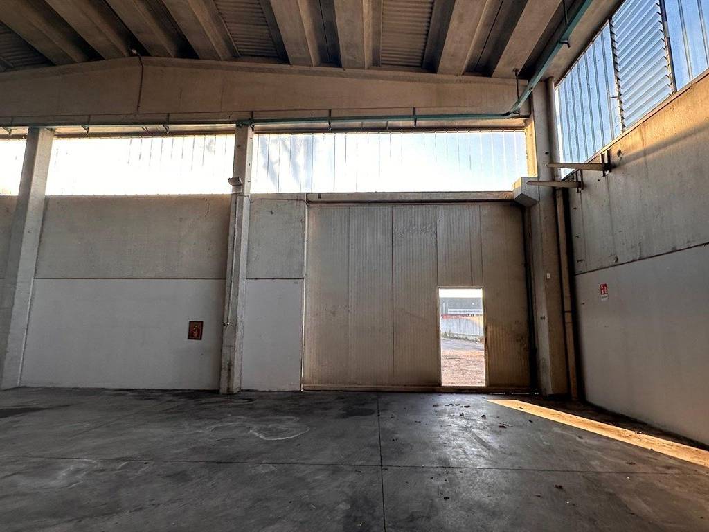 immagine annuncio 3 di 5