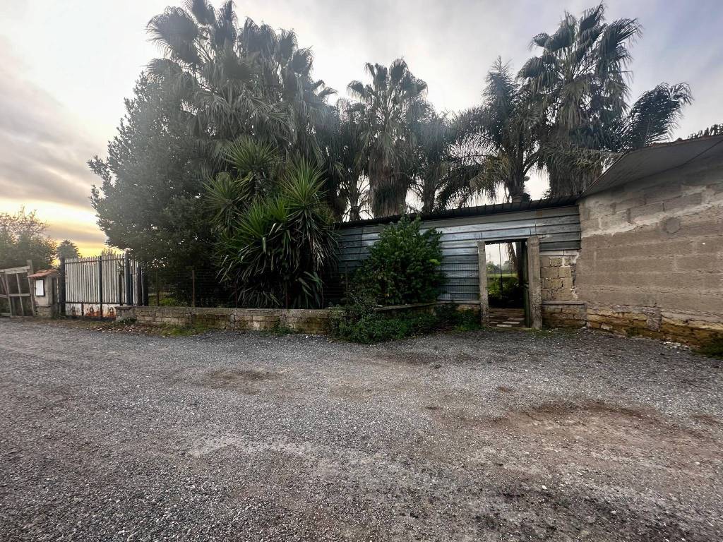 immagine annuncio 1 di 2