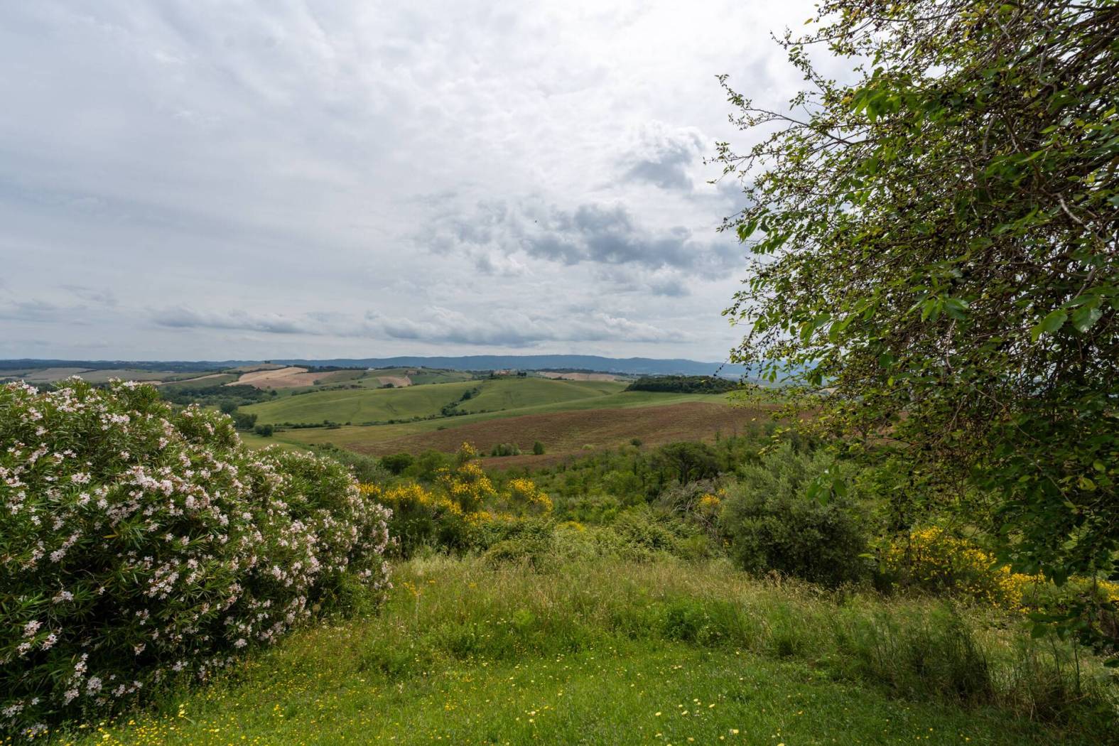 Villa unifamiliare via del Marmigliaio 3, Collesalvetti - Photo 61