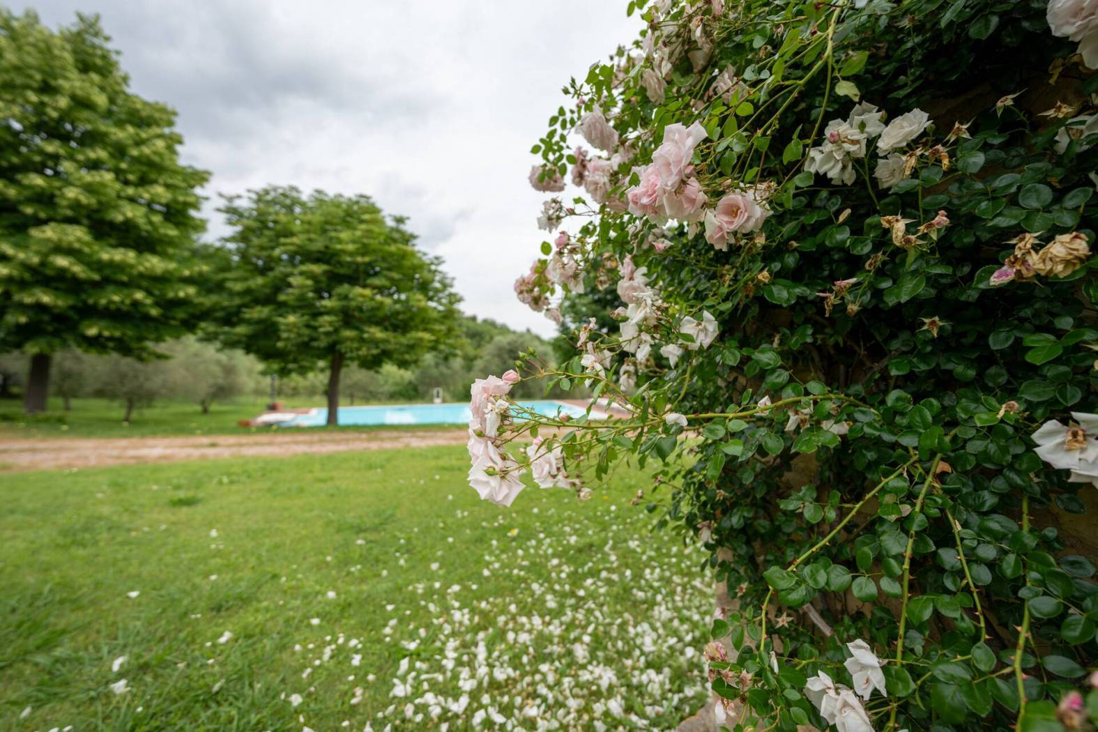 Villa unifamiliare via del Marmigliaio 3, Collesalvetti - Photo 66