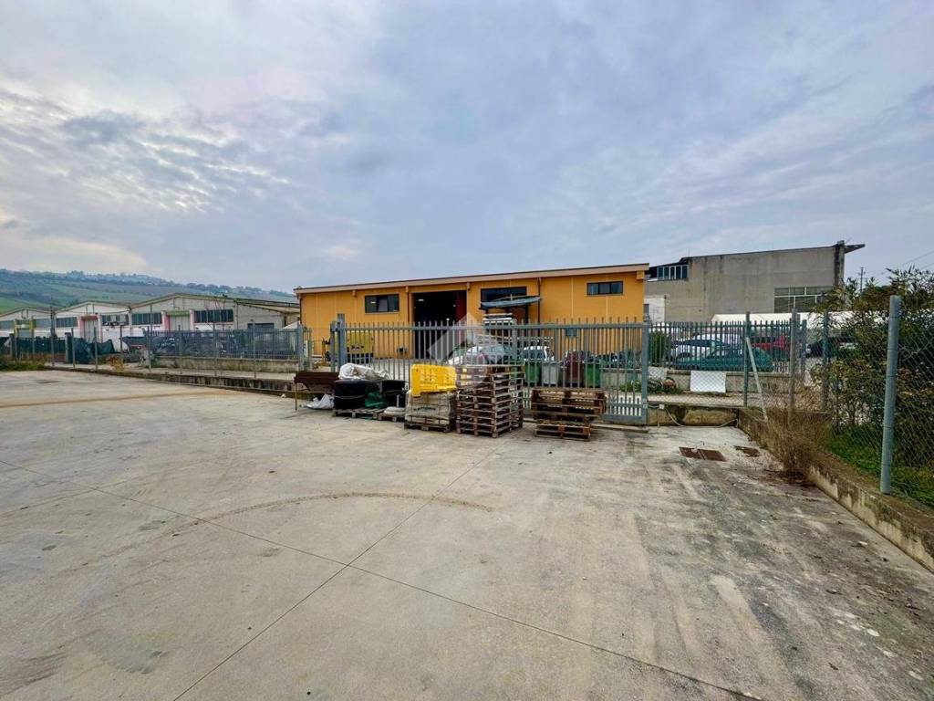 immagine annuncio 3 di 5