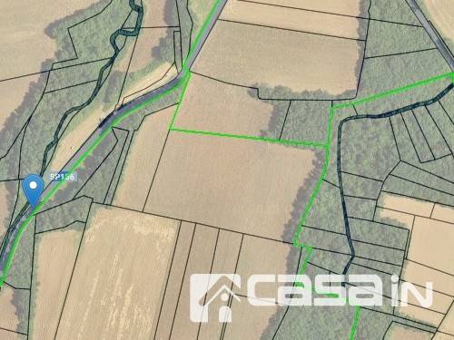 immagine annuncio 2 di 3