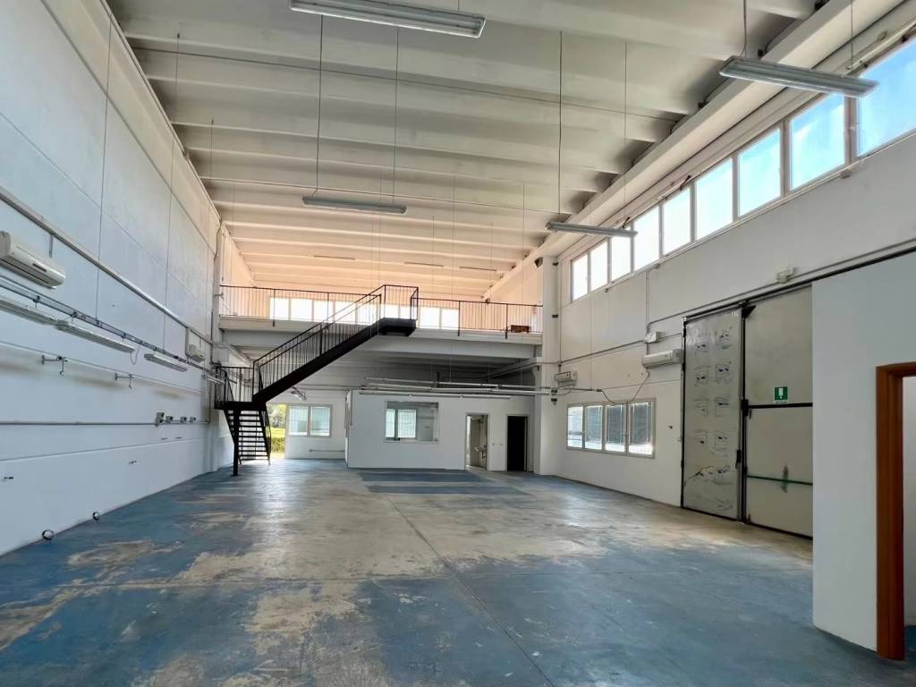 immagine annuncio 2 di 4