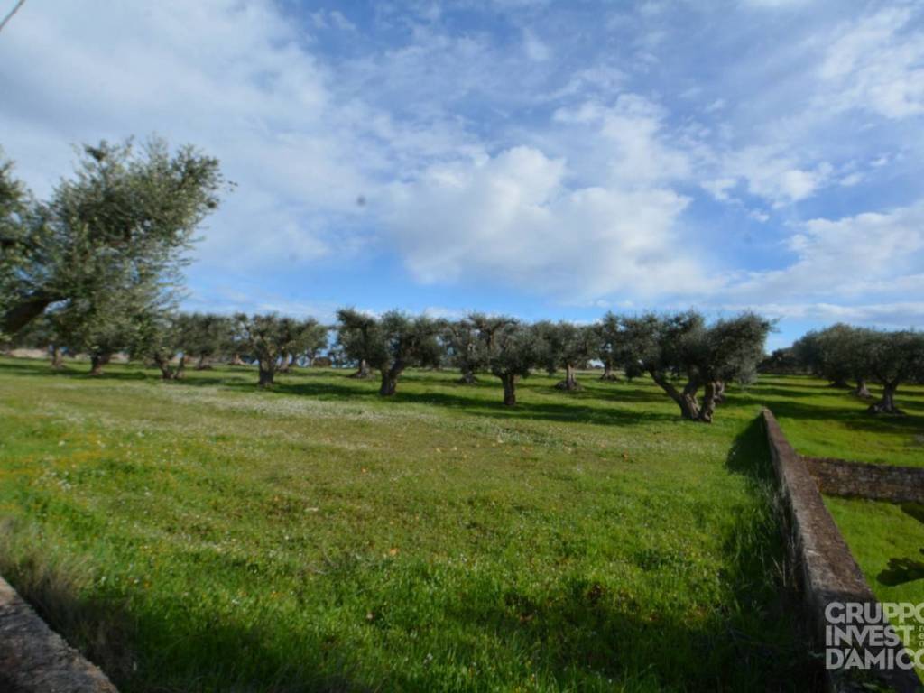 immagine annuncio 2 di 4