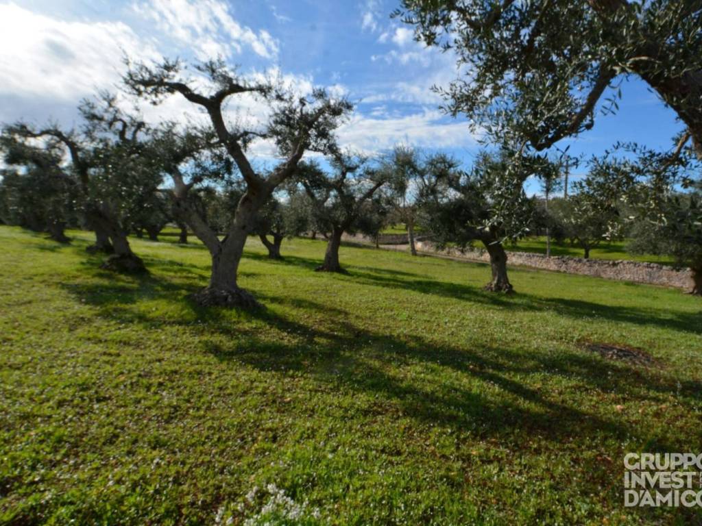 immagine annuncio 3 di 4