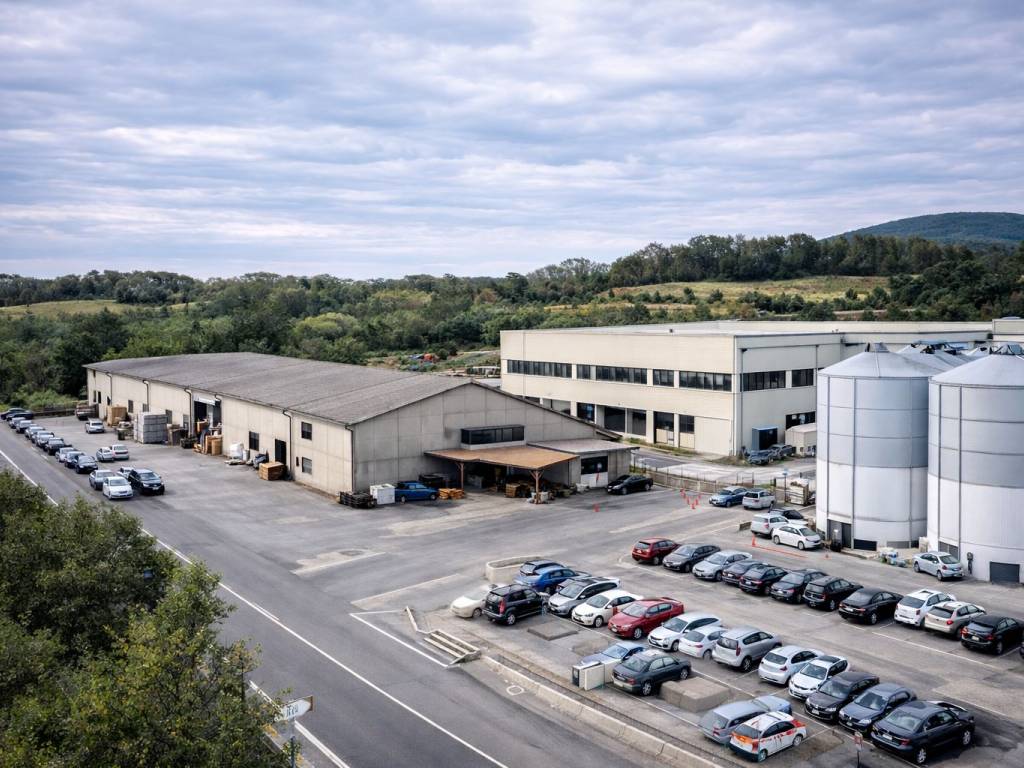 immagine annuncio 1 di 4