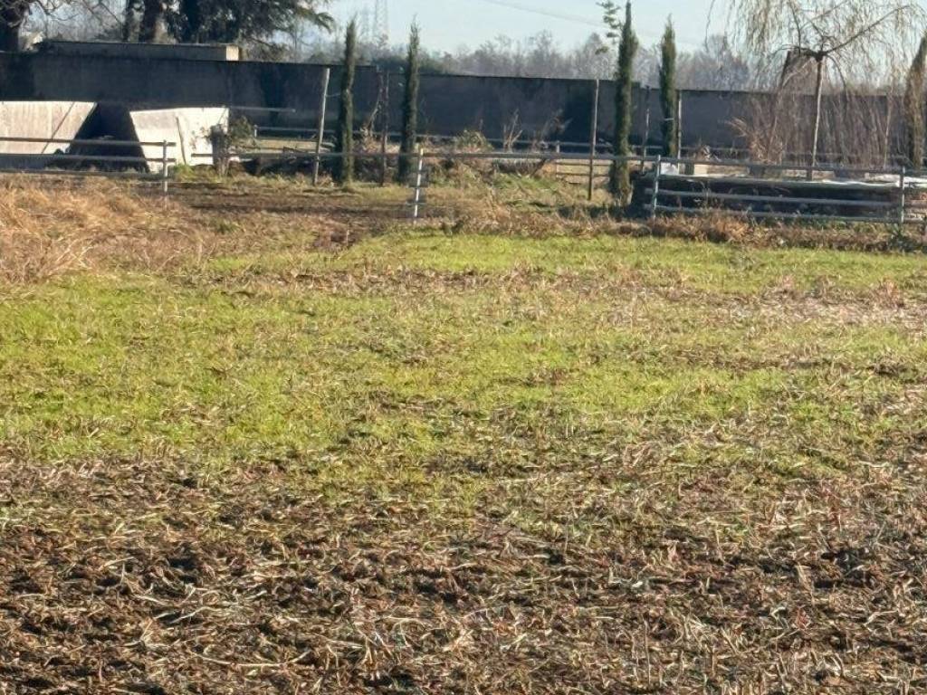 immagine annuncio 1 di 3