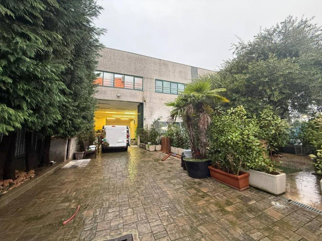 immagine annuncio 1 di 5