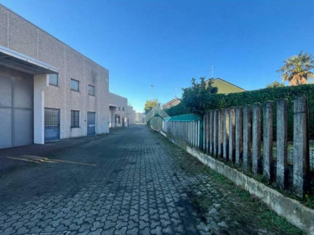 immagine annuncio 2 di 5