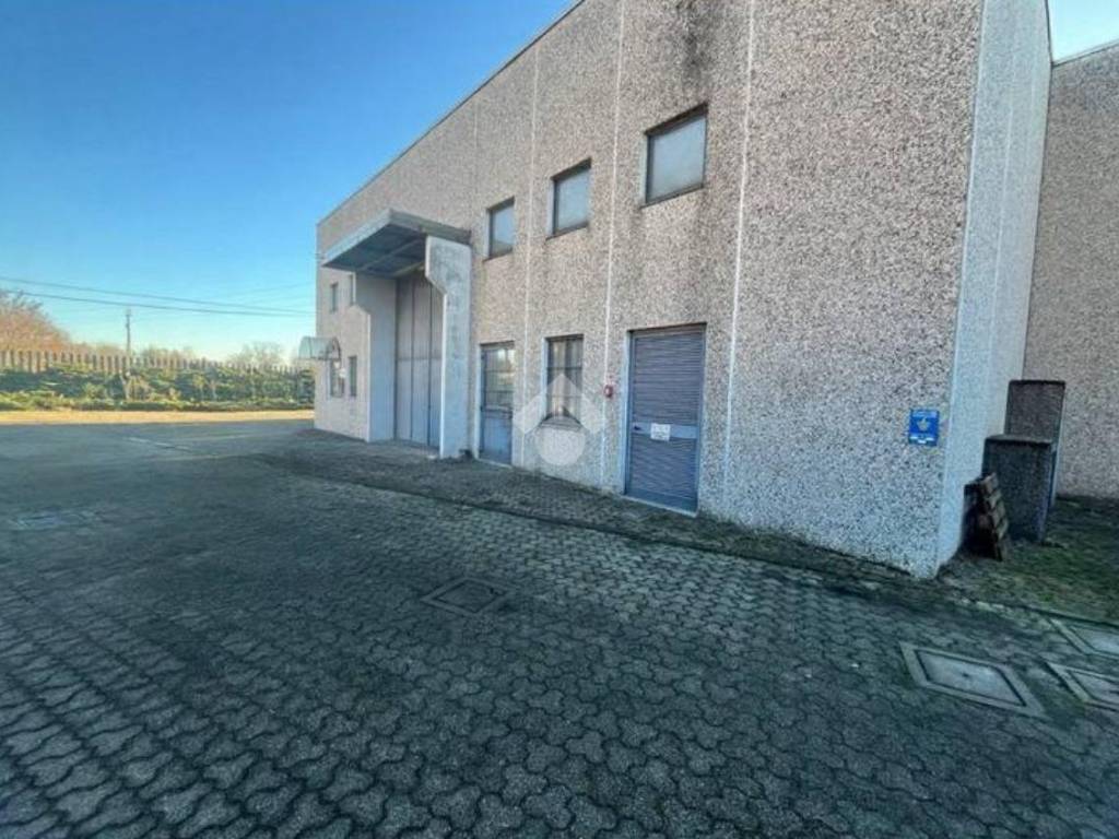 immagine annuncio 3 di 5