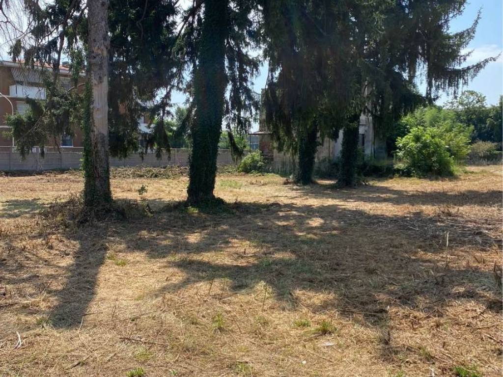 immagine annuncio 1 di 4