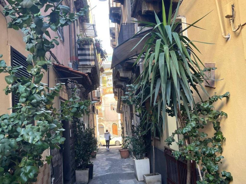 casa indipendente in vendita a Catania in zona Centro Storico