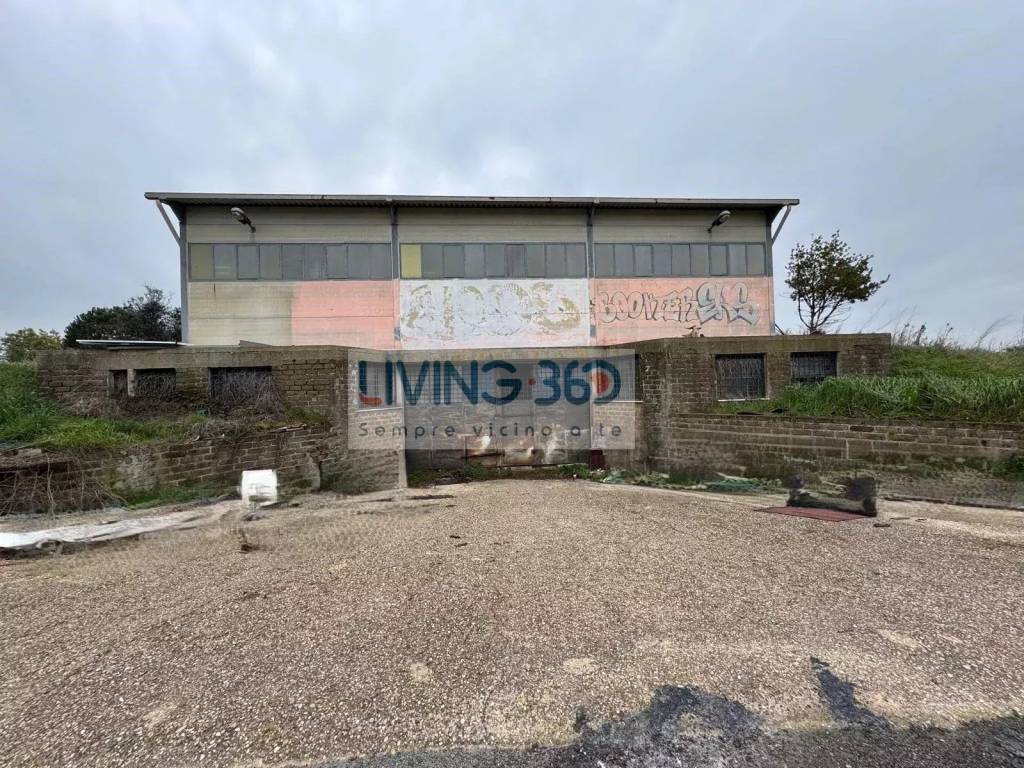 immagine annuncio 4 di 5