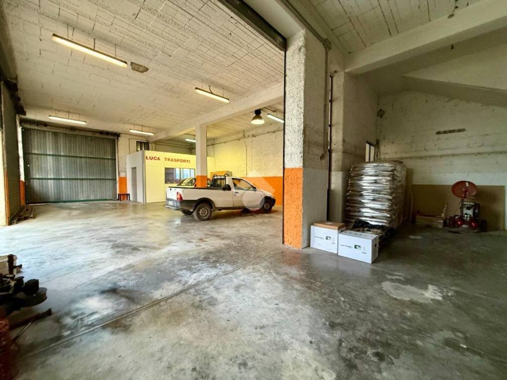 immagine annuncio 2 di 5