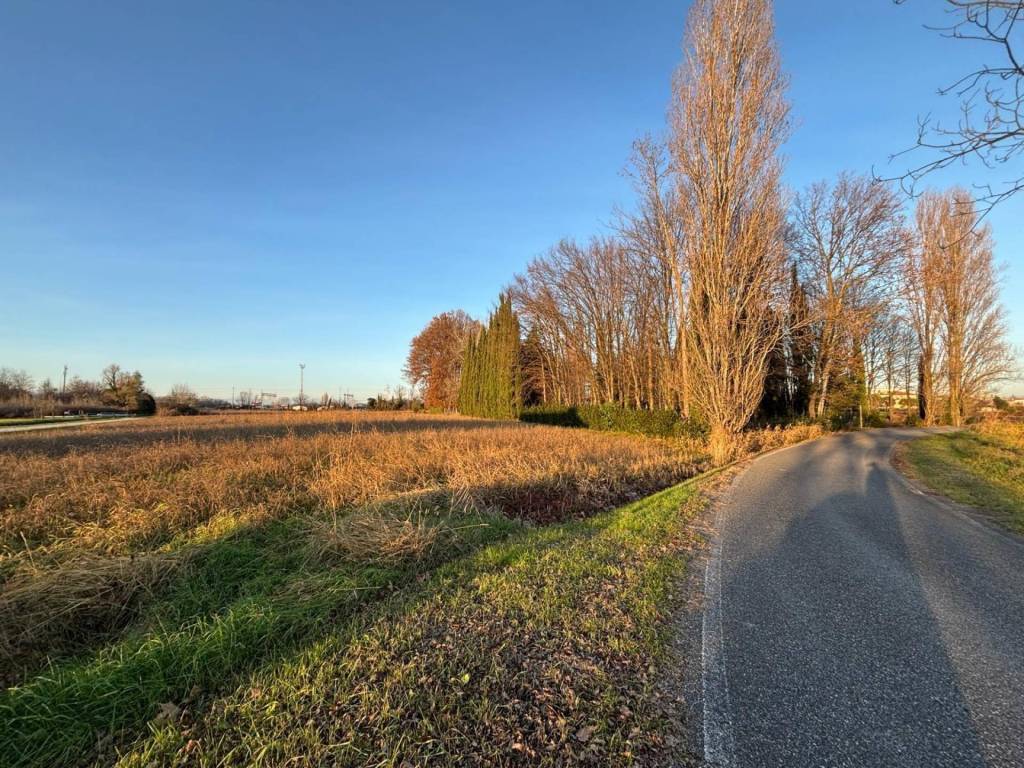 immagine annuncio 1 di 3